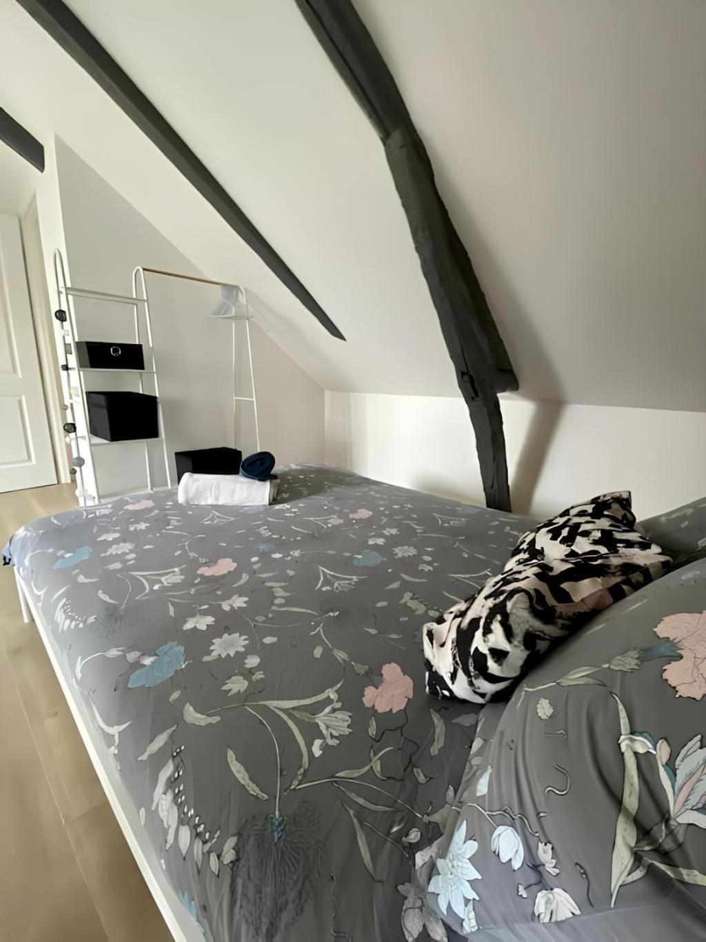 Apartment Maison Spacieuse Avec Exterieur Menage Et Linges Inclus Rouen
